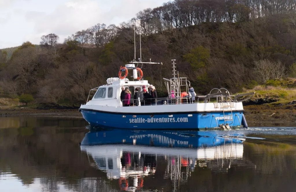 Boat Trips